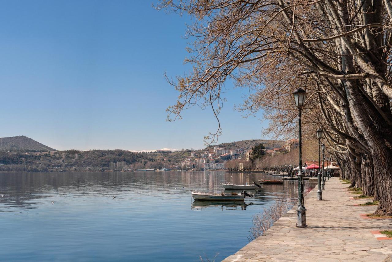 αρχοντικό κίτσου - Boutique Gasthof Kastoria